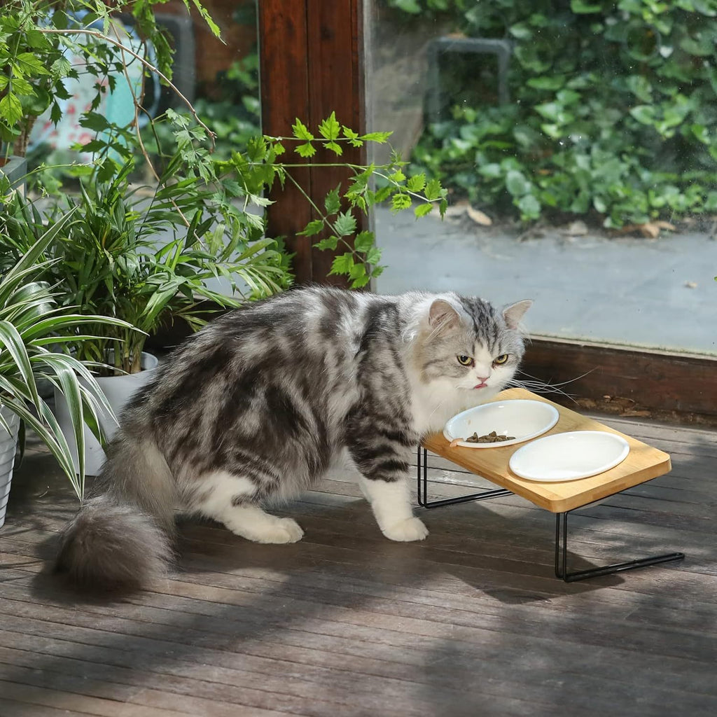 Stylish Pet Bowl with Stand