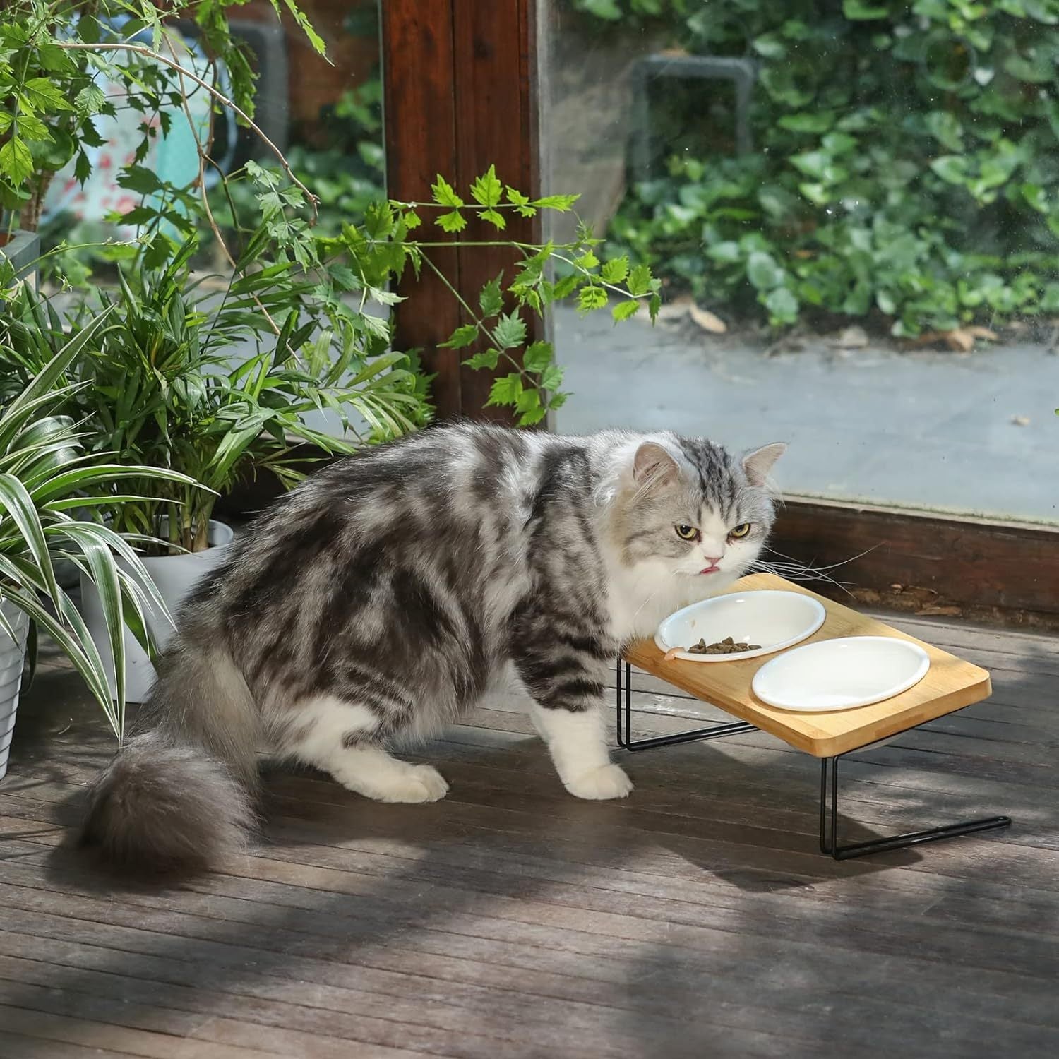 Stylish Pet Bowl with Stand