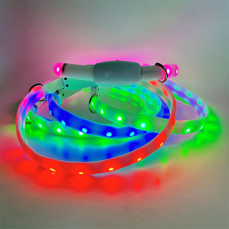 Luminous Joy for Lovable Dog Walks