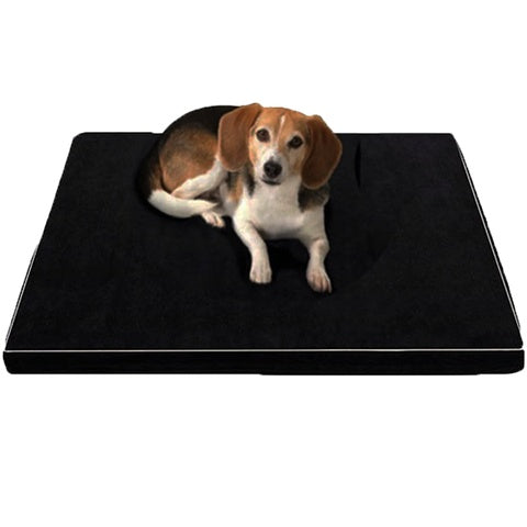 Arthur, Orthopedic Memory Foam Beds for Dogs