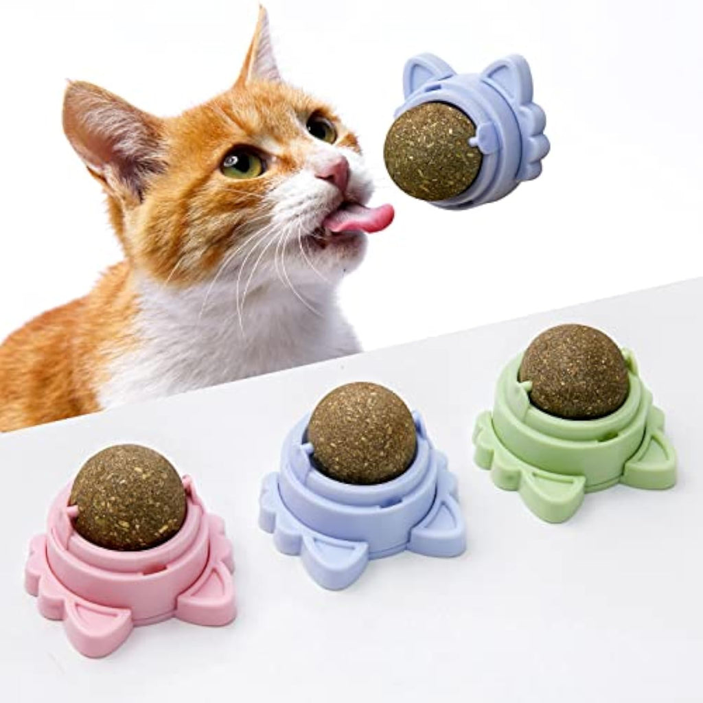Healthy Stick-On Catnip Toys for Sparkly Smiles
