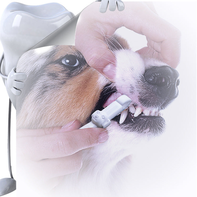 Tooth Clean Fun for Energetic Pet Days