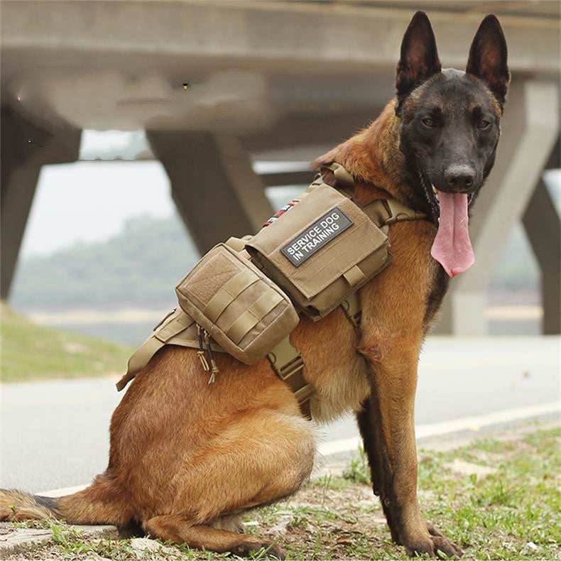 Adventure-Ready Tactical Dog Harness with MOLLE System!