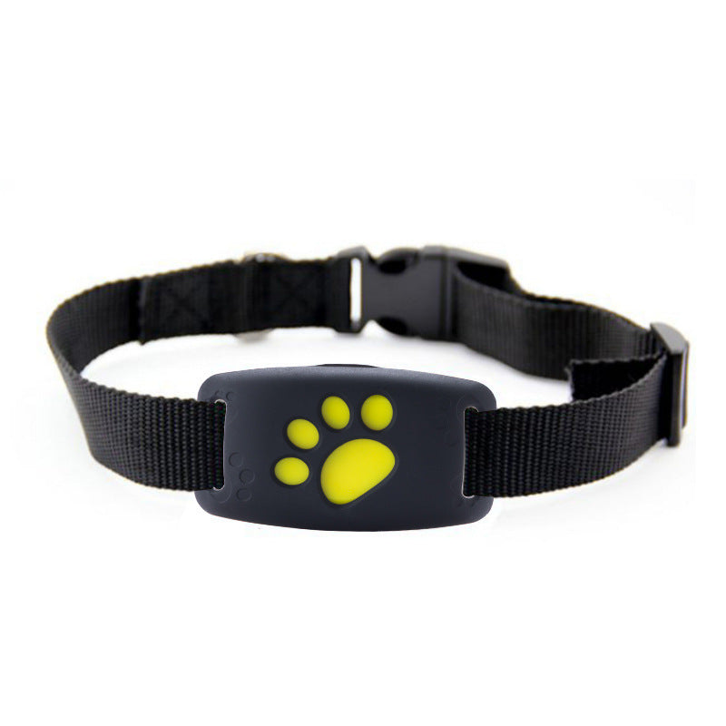 Find Your Pet Fast with GPS Tracker