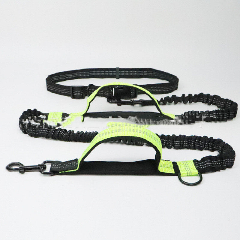 Fun Multifunctional Leash for Happy Pet Adventures