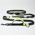 Fun Multifunctional Leash for Happy Pet Adventures