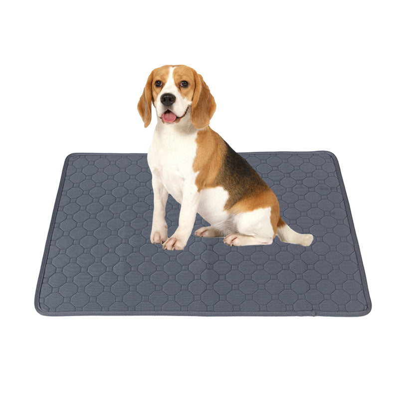 Modern Pee Pads for Clean Homes