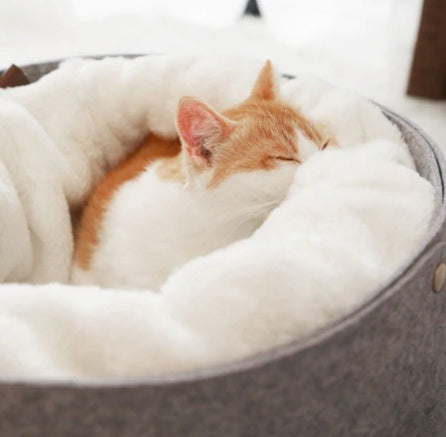Cozy Snuggle Spot for Your Furry Bestie