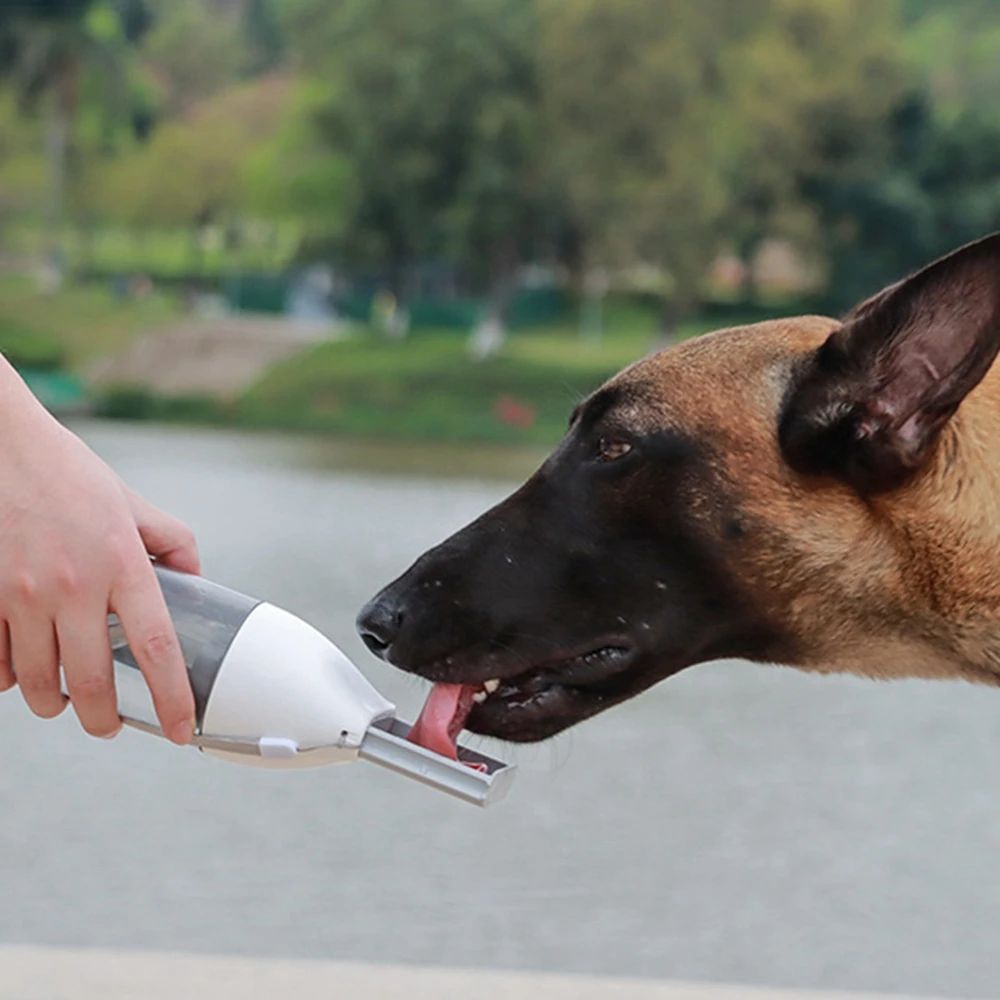 Portable Dog/Pet Water Bottle for Happy Outdoor Adventures