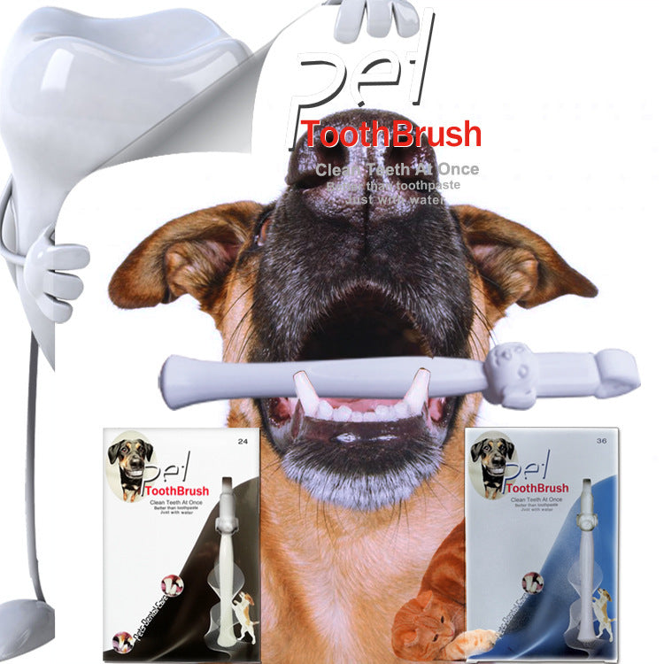 Tooth Clean Fun for Energetic Pet Days