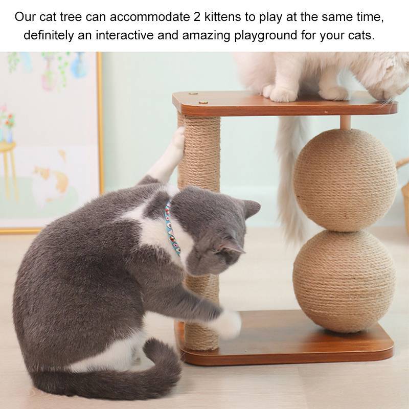 Cozy Kitty Scratch Post Fun