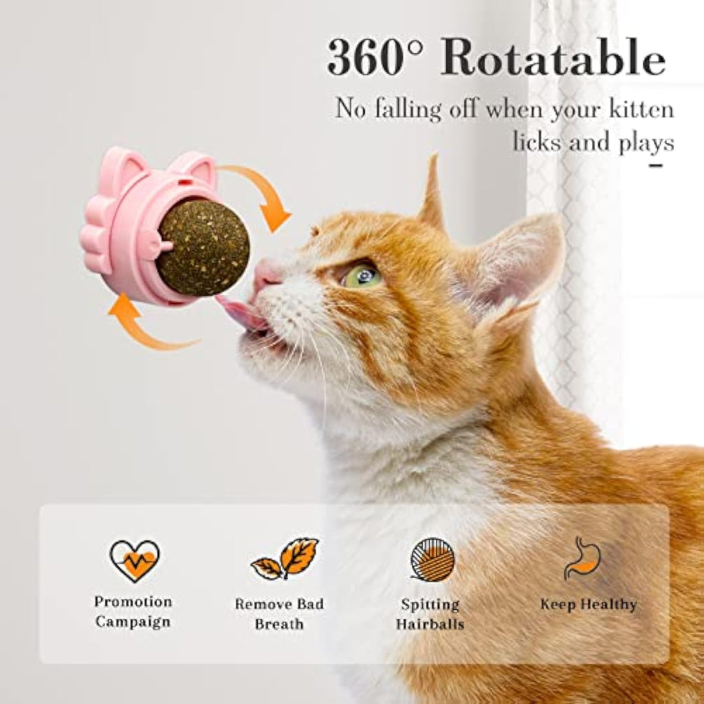 Healthy Stick-On Catnip Toys for Sparkly Smiles