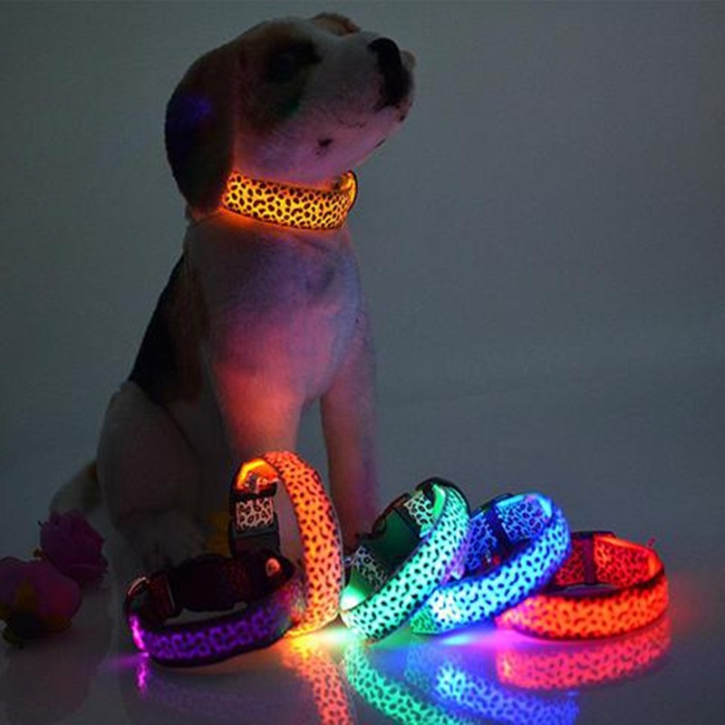 Leopard Print LED Collar – Safety with Flair