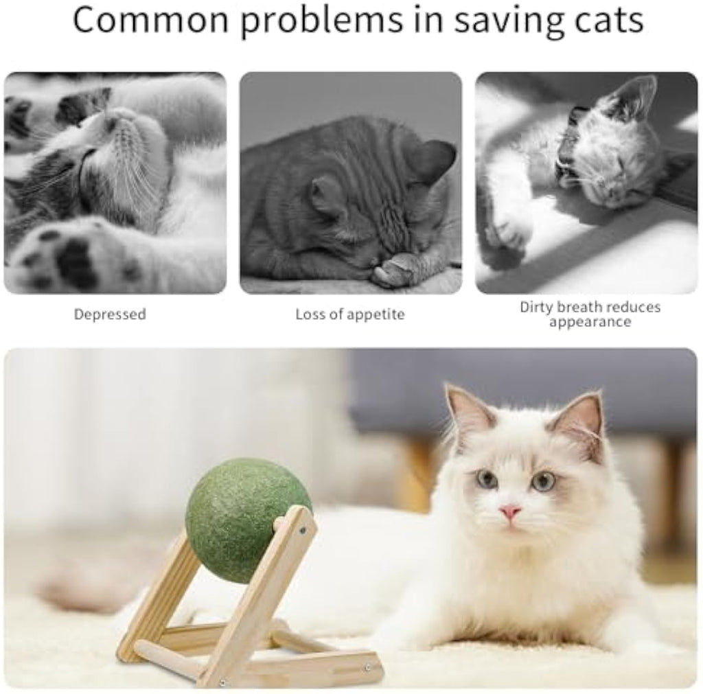 Irresistible Giant Catnip Ball Toy with Handy Holder