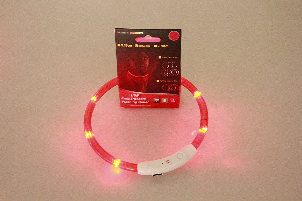 Neon Collar Delight for Energetic Pals