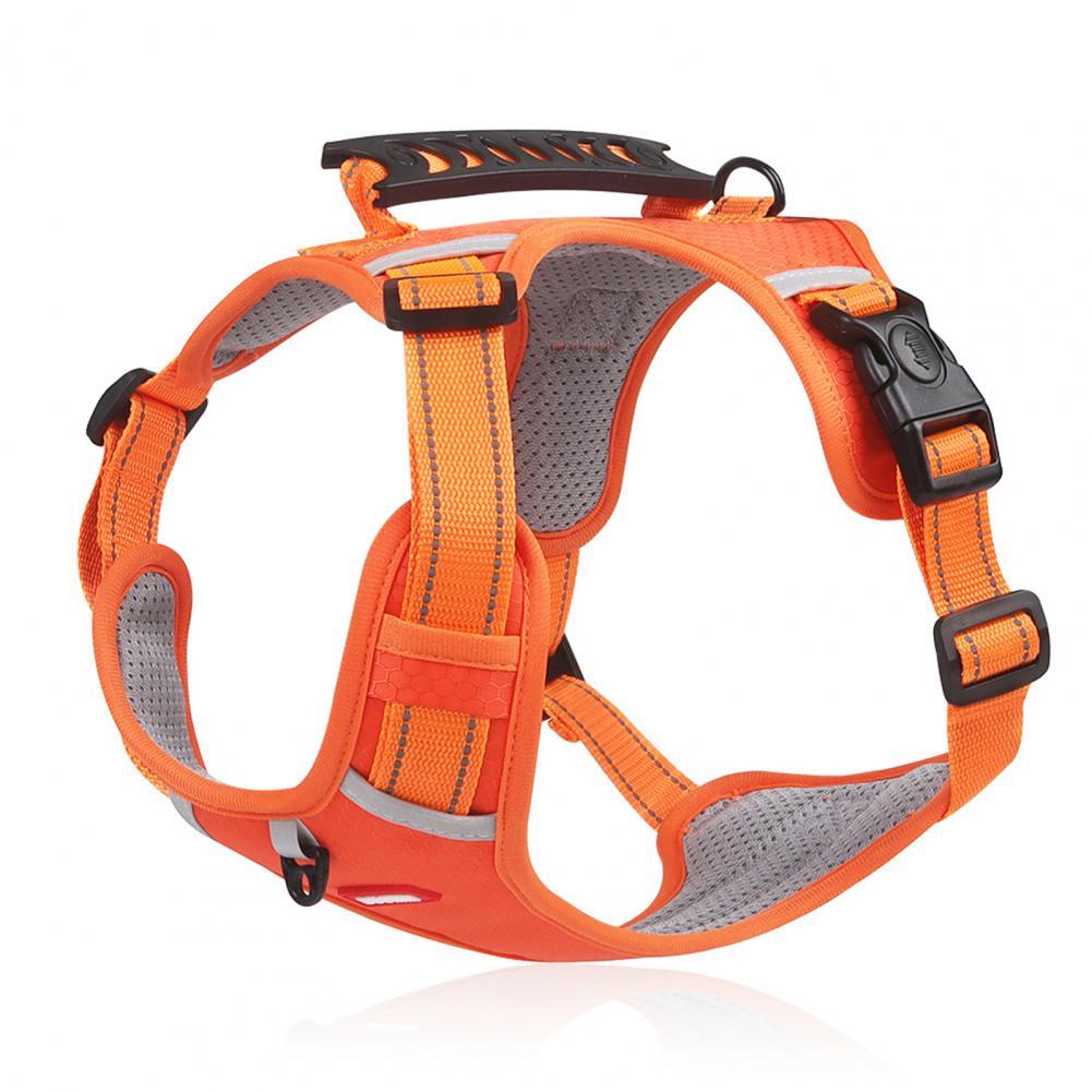 Durable No-Pull Harness for Outdoor Adventures