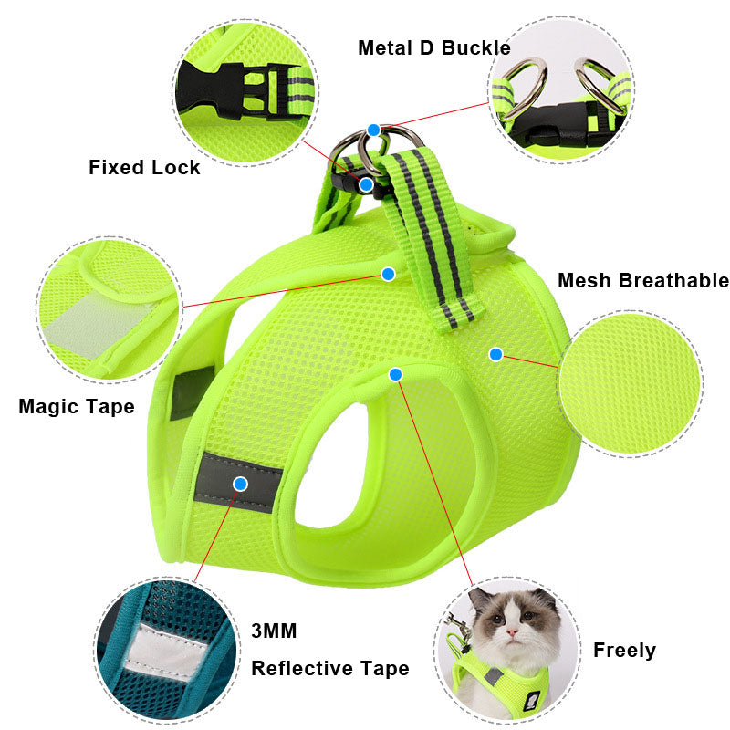 Paw-some Grip: Walk Your Kitty Scratch-Free