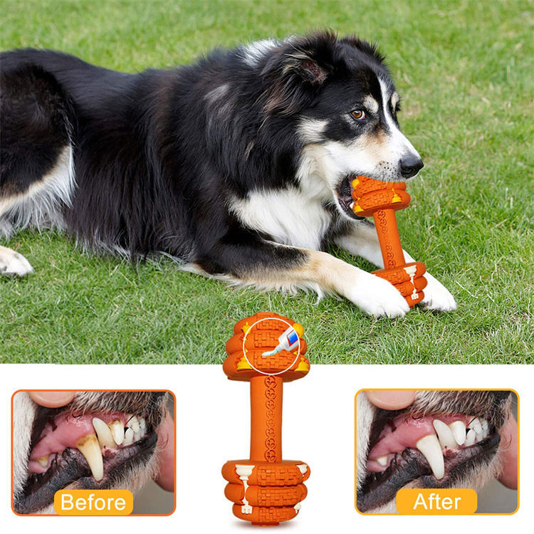 Indestructible Fun for Your Power Chewer Pup
