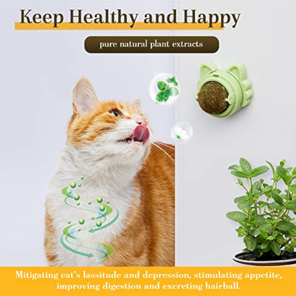 Healthy Stick-On Catnip Toys for Sparkly Smiles