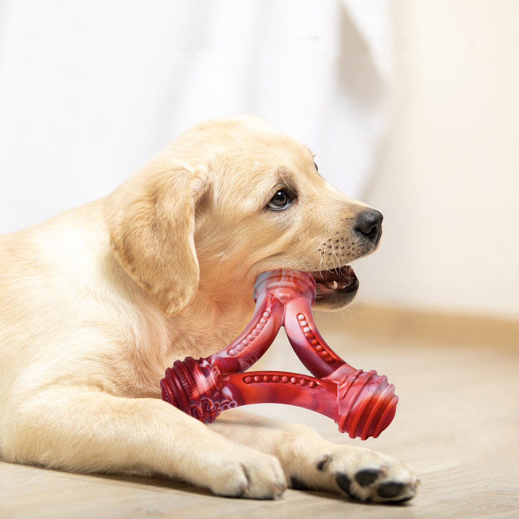 Tough Nylon Toy for Lovable Dogs