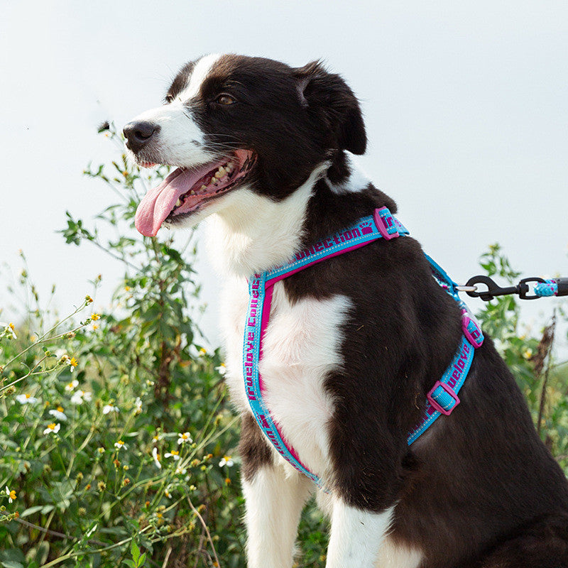 Comfy No-Pull Dog Harness: Reflective, Tactical Design