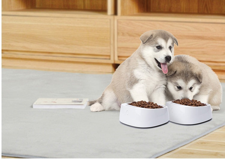Smart Bowl Weighs Your Pup's Meals