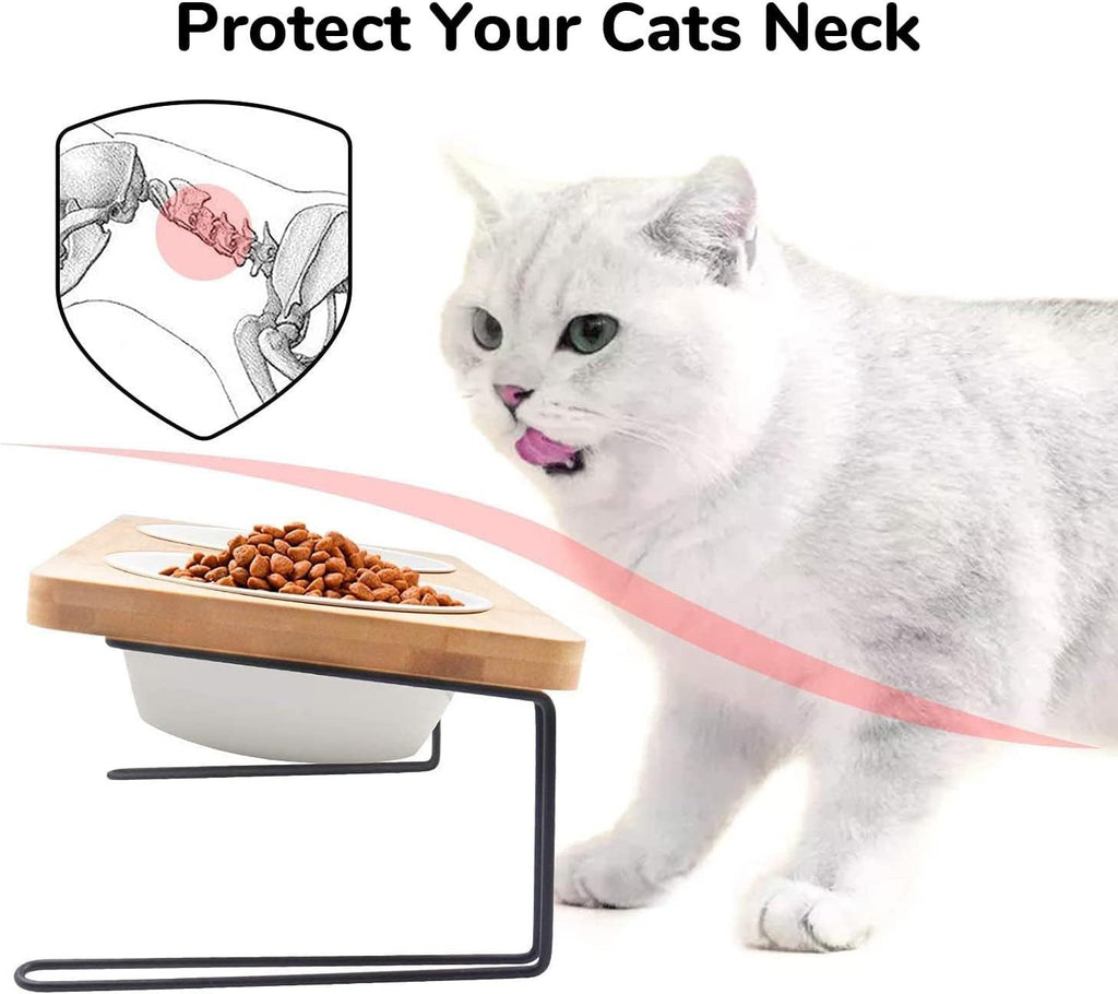 Stylish Pet Bowl with Stand