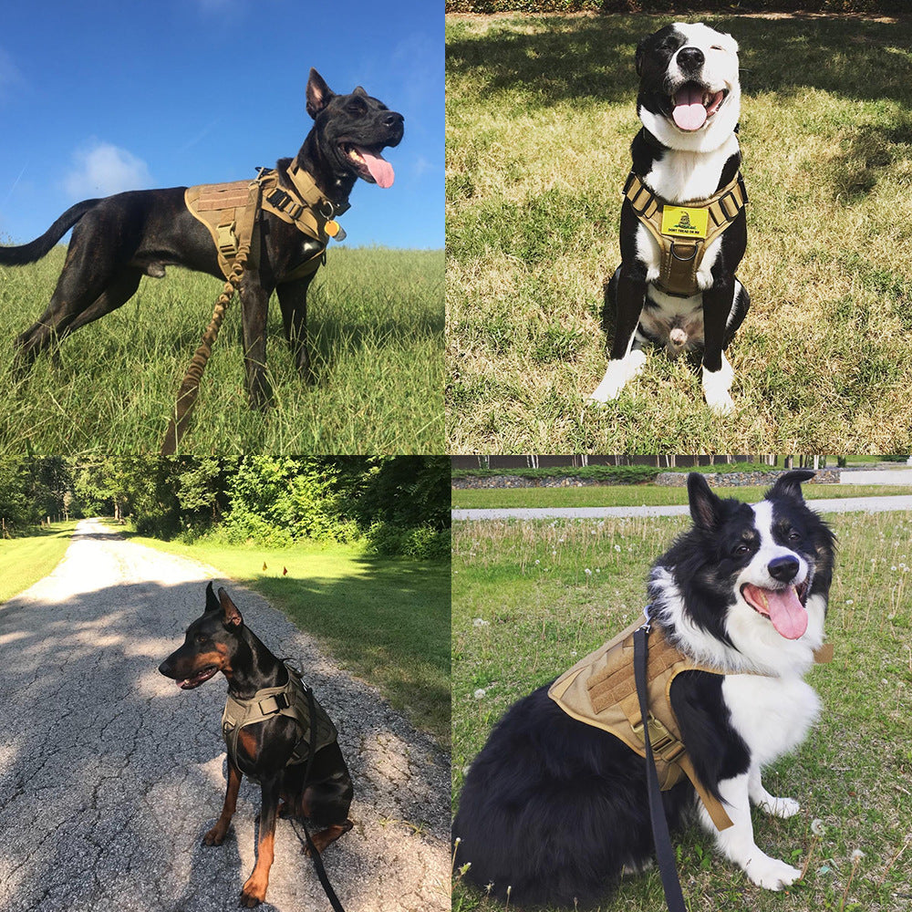 Tough Tactical Harness for Playful Pups
