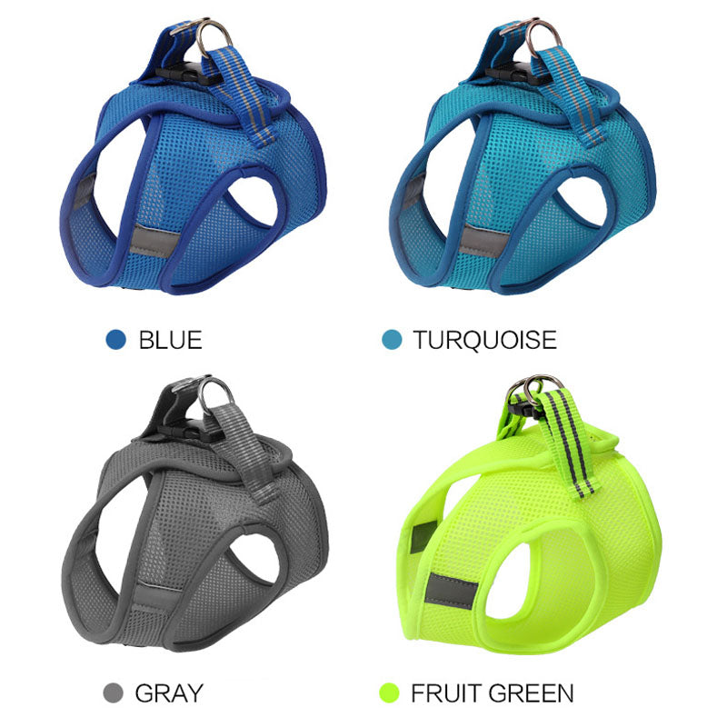 Paw-some Grip: Walk Your Kitty Scratch-Free