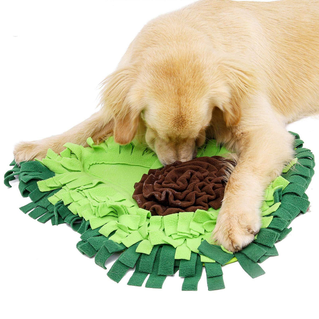 Sniff & Play Dog Training Mat