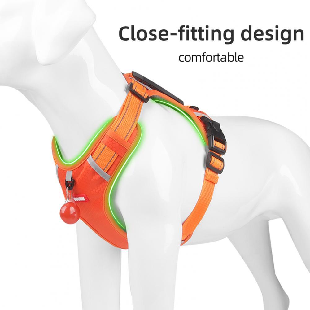 Durable No-Pull Harness for Outdoor Adventures