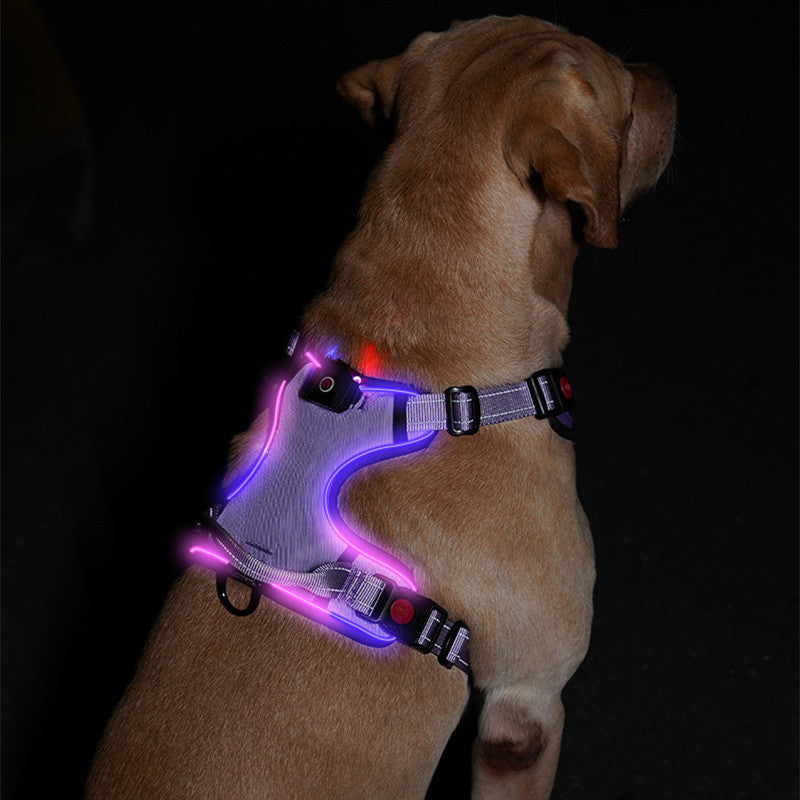 Bright LED Chest Strap – Your Pet's Nighttime Superpower
