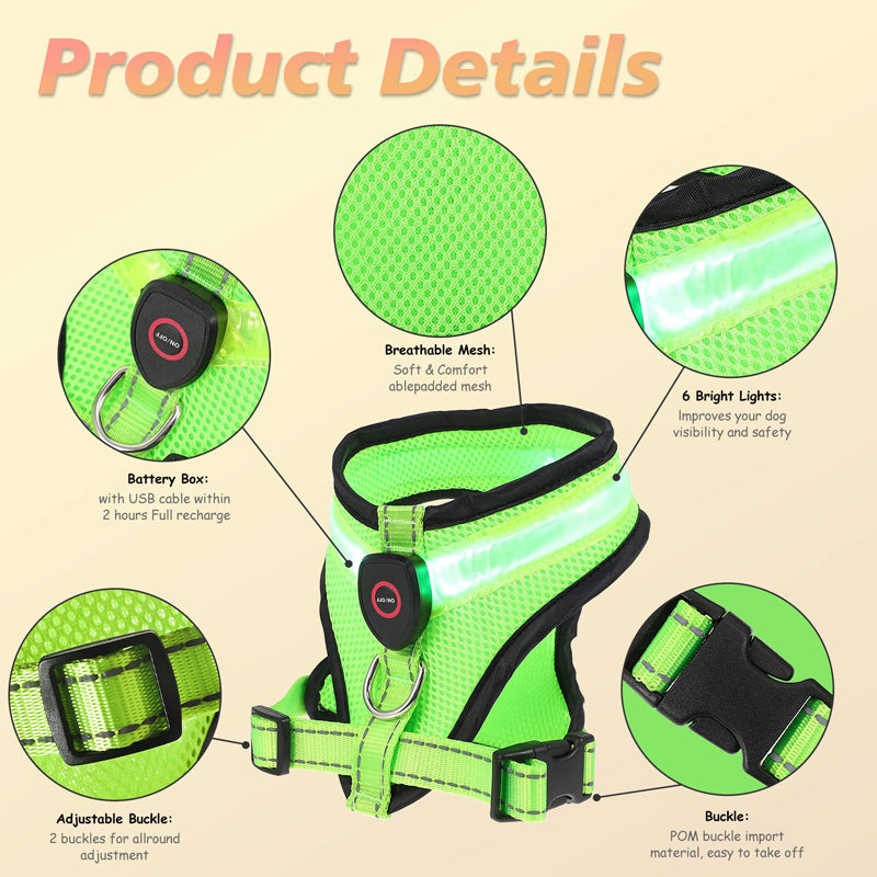 Comfy Rechargeable LED Mesh Harness for Happy Night Adventures