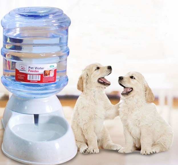 Paw-some Auto Feeder & Fountain for Happy Pets