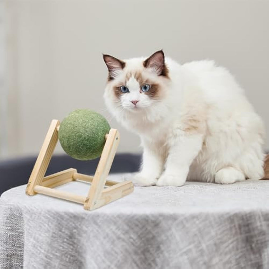 Irresistible Giant Catnip Ball Toy with Handy Holder