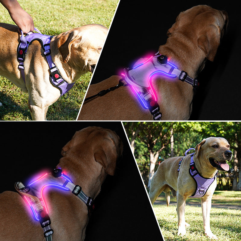 Bright LED Chest Strap – Your Pet's Nighttime Superpower