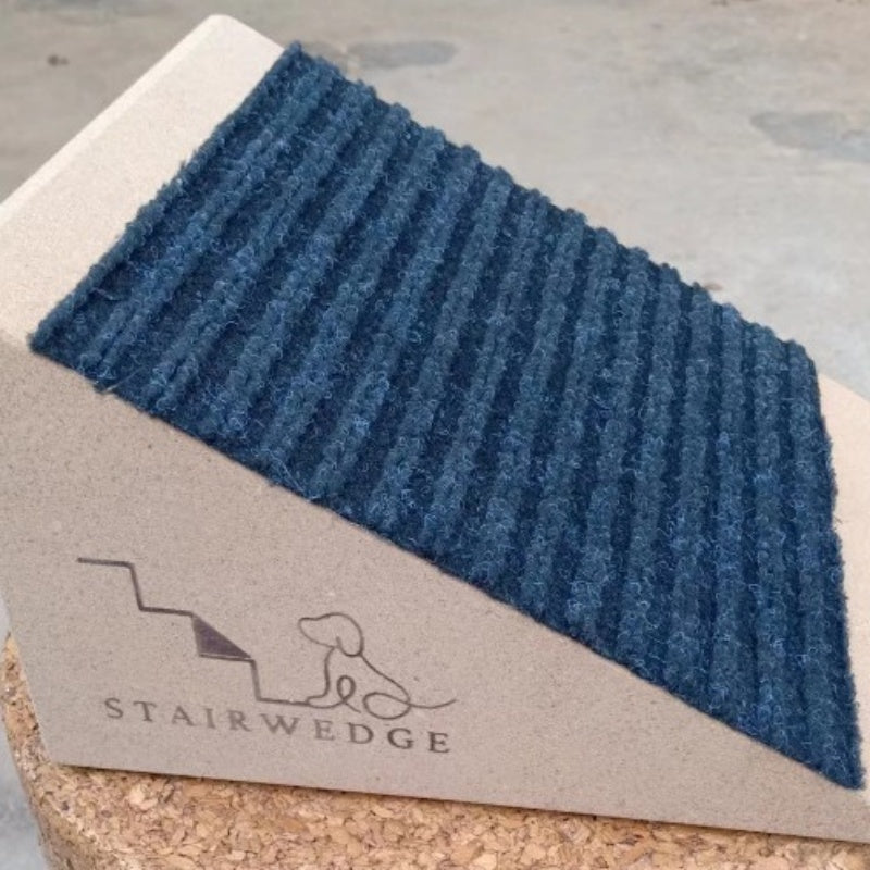 Pet Stairs Runway: Safe Play Path