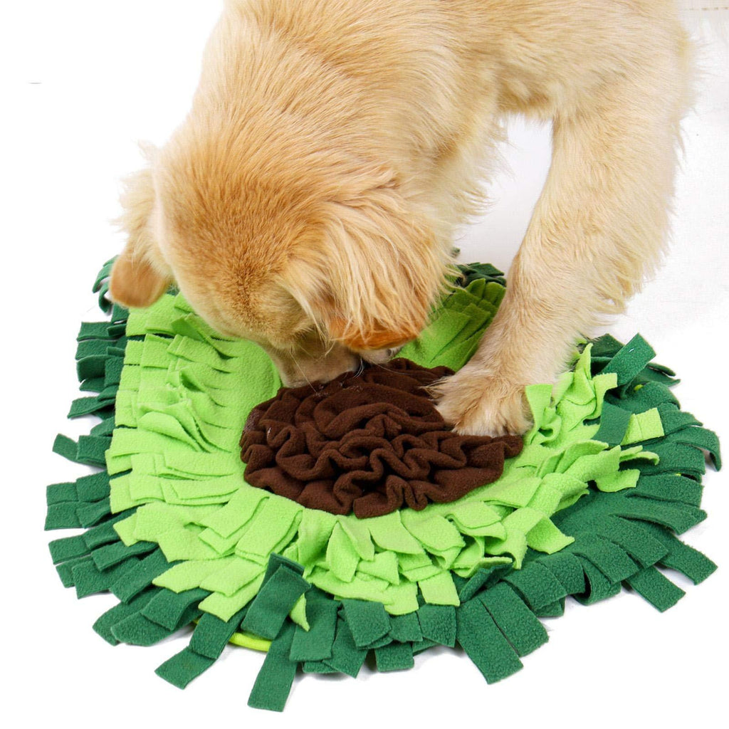 Sniff & Play Dog Training Mat