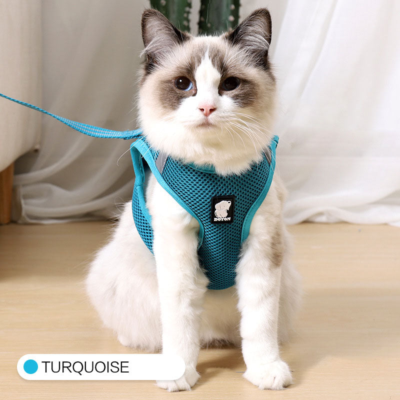 Paw-some Grip: Walk Your Kitty Scratch-Free