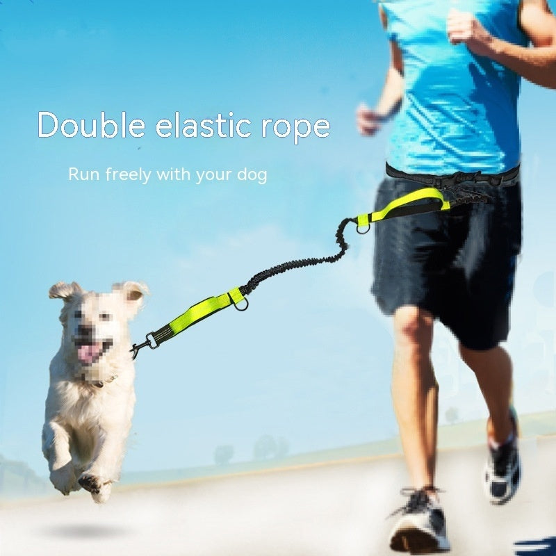 Fun Multifunctional Leash for Happy Pet Adventures