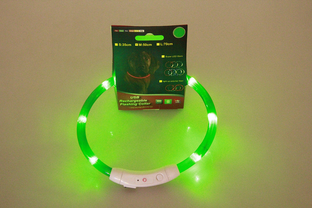 Neon Collar Delight for Energetic Pals