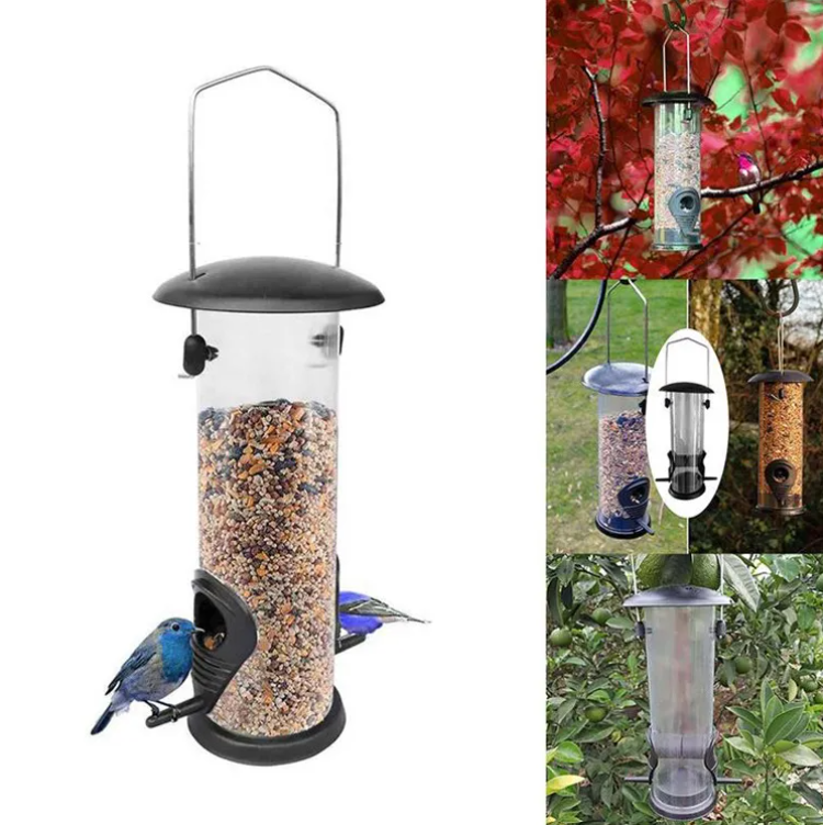 Swing & Snack: Your Birds' New Buddy