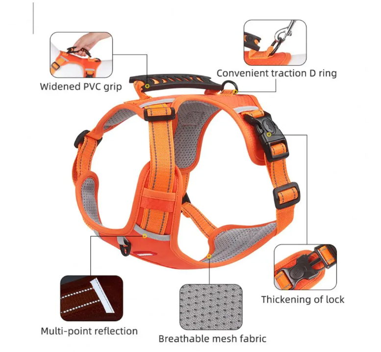 Durable No-Pull Harness for Outdoor Adventures