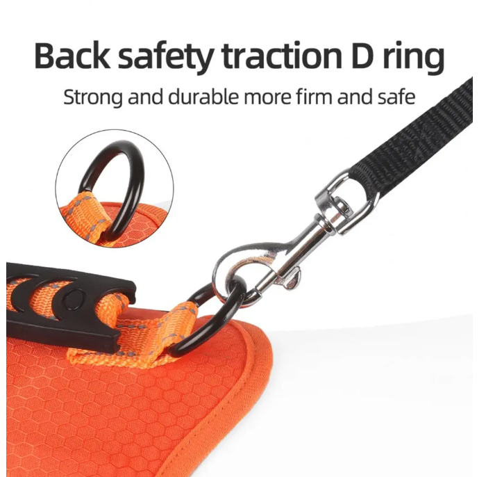 Durable No-Pull Harness for Outdoor Adventures
