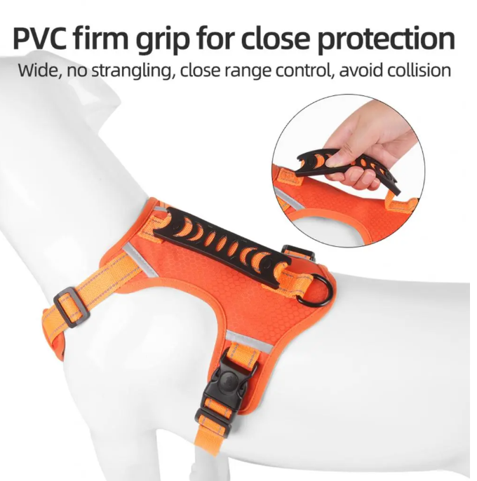 Durable No-Pull Harness for Outdoor Adventures