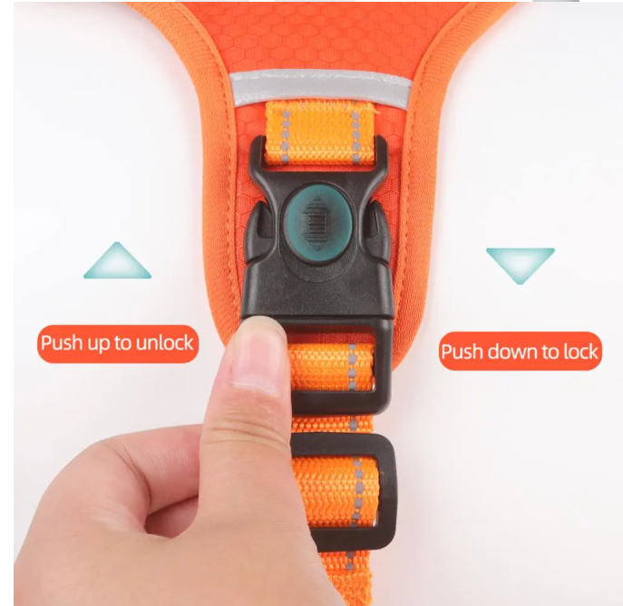 Durable No-Pull Harness for Outdoor Adventures