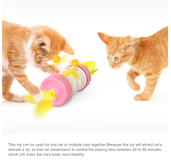 Feather Pole Fun for Purring Pals