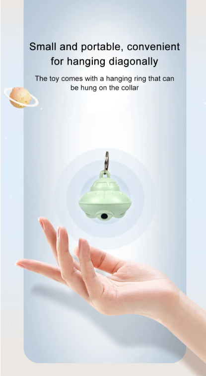 Interactive Laser Fun for Lovable Pets