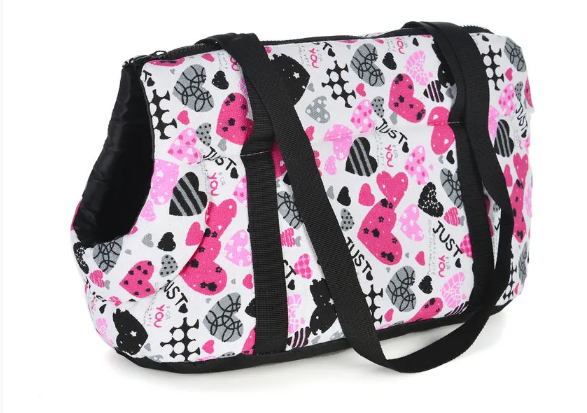 Outdoor travel pet backpack