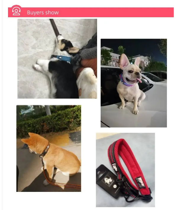 Cozy Anti-Strangulation Teddy for Pet Safety
